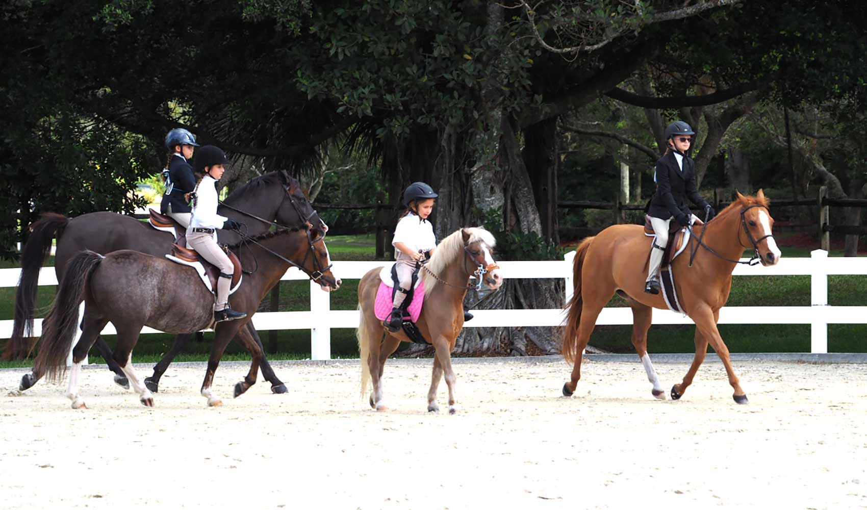 Parkland Horseman's Association Dressage, Hunter Jumper & Obstacle