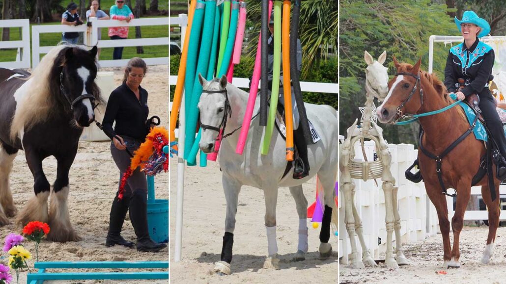 Photo collage of horses being led and ridden through various obstacles