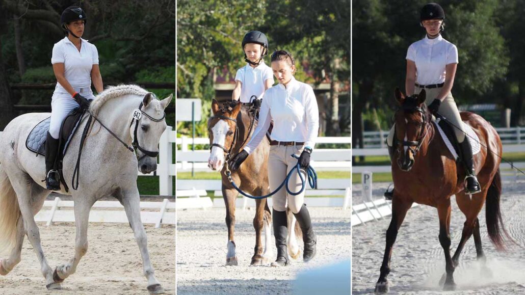 Photo collage of horses being ridden and/or led in various dressage classes at a show